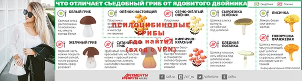 прущая мука Арсеньев
