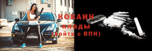 индика Аркадак