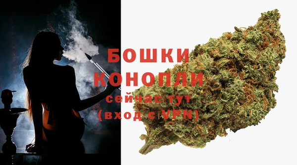 индика Аркадак