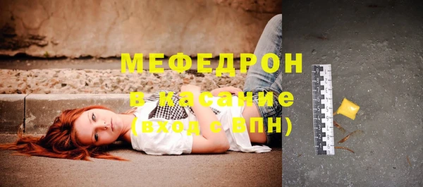 индика Аркадак