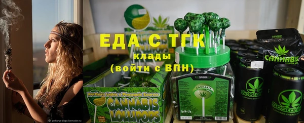 индика Аркадак