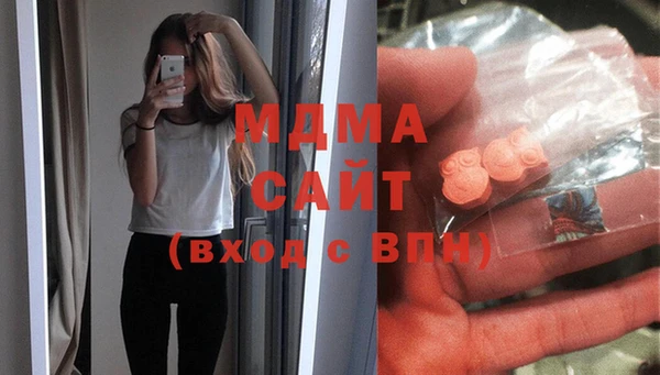 индика Аркадак