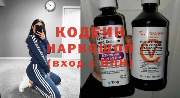 индика Аркадак