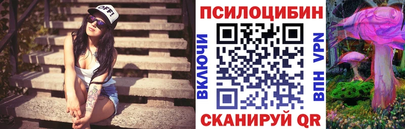 закладки  Ханты-Мансийск  shop наркотические препараты  Псилоцибиновые грибы Psilocybine cubensis 